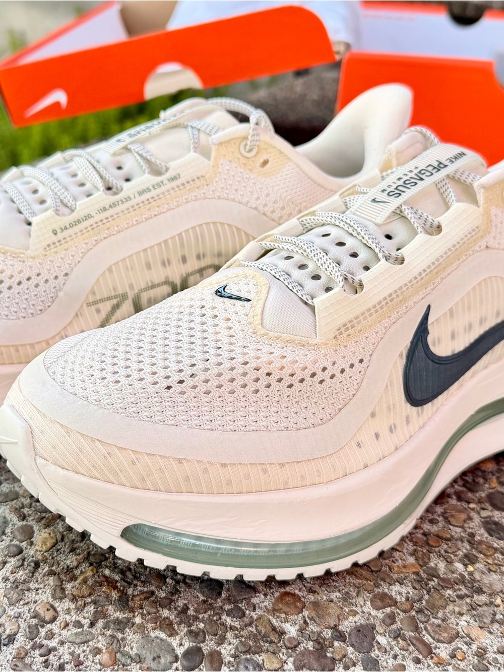 Men’s Nike Pegasus Premium
